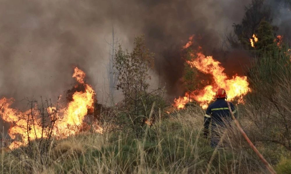 Φωτιά σε πεδίο βολής στον οικισμό Καταββιά της Ρόδου